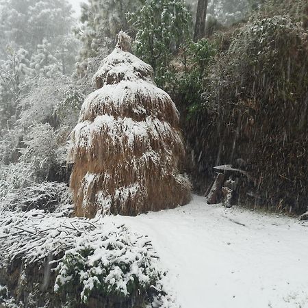 西姆拉Aagaman Woods公寓 外观 照片